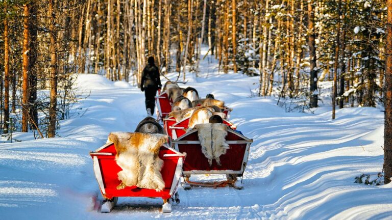 Christmas procession in Norway winter.