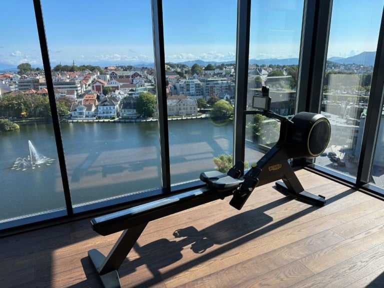 Rowing machine with a view.