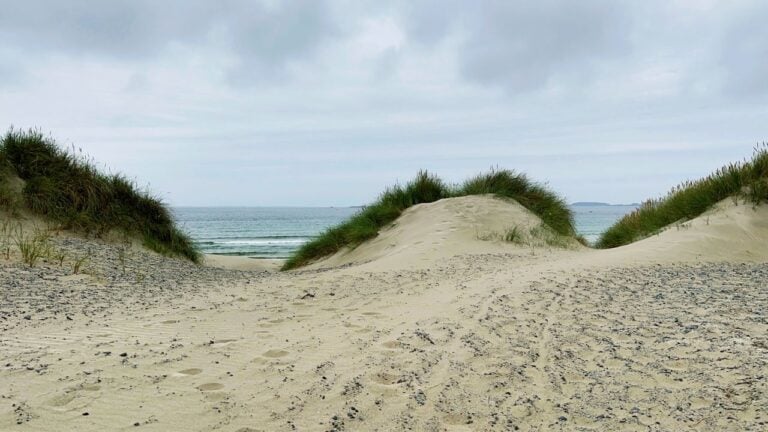 Sand and grass dunes at Sola Beach in Norway.
