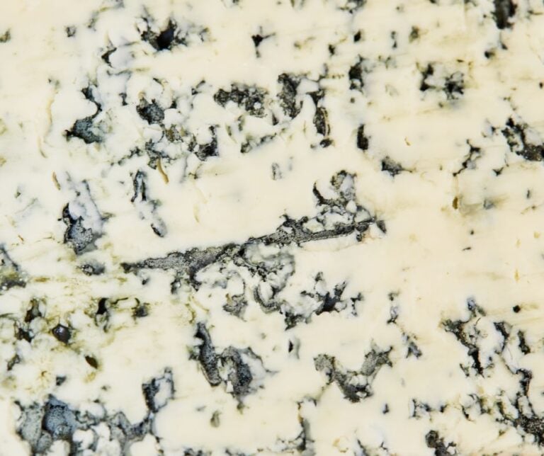 Blue cheese close-up.