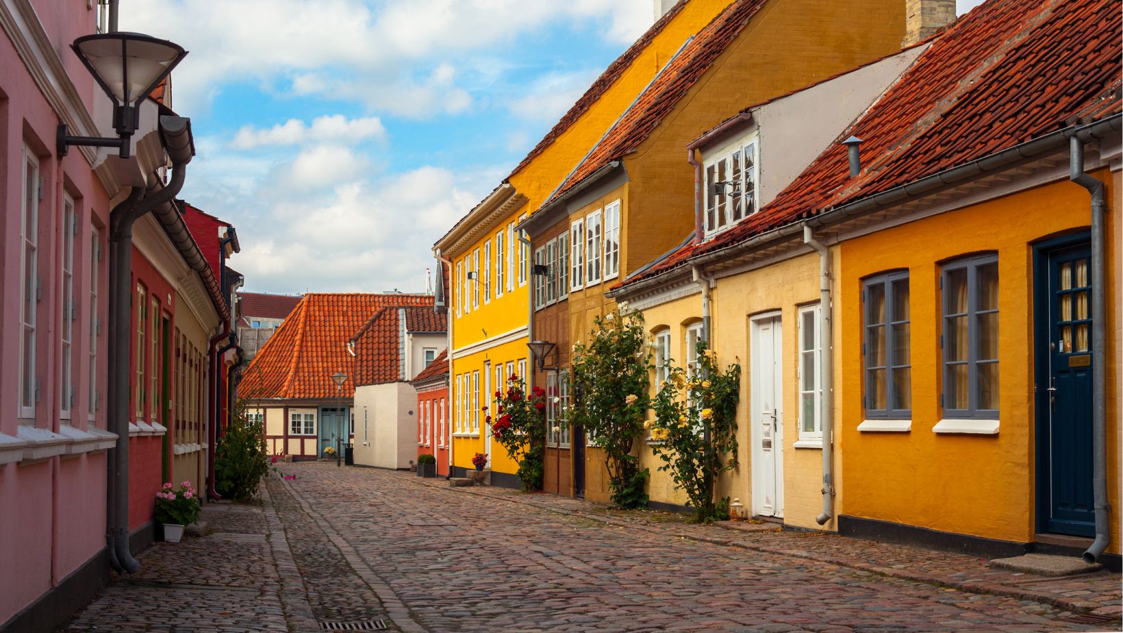 Odense historic district.