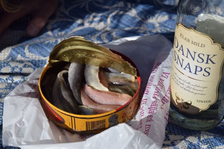 Can of Swedish fermented herring with a bottle of schnapps. Photo: Paul Barron / Shutterstock.com.
