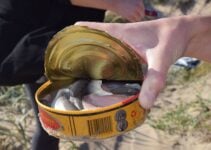 Sweden’s Surströmming: The ‘Try It If You Dare’ Delicacy