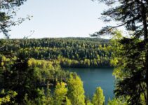 Østmarka: A New National Park for Oslo