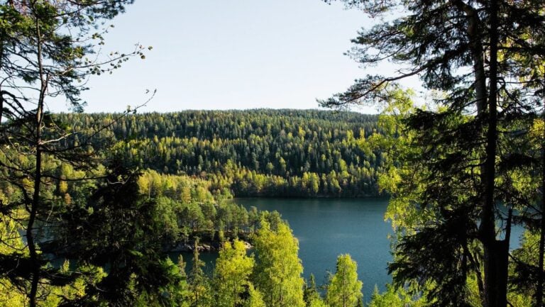 A view across a lake in Østmarka, Oslo.
