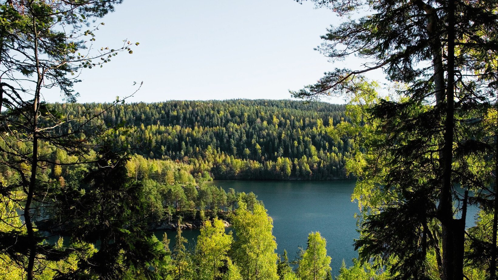 Østmarka: en ny nasjonalpark for Oslo