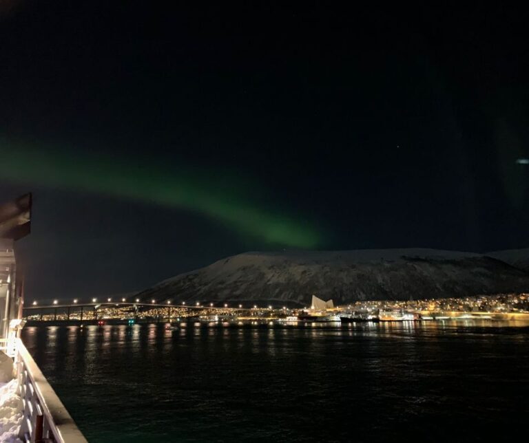 Northern lights above Tromsø. Photo: David Nikel.