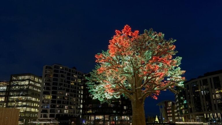 The Oslo Tree. Photo: David Nikel.
