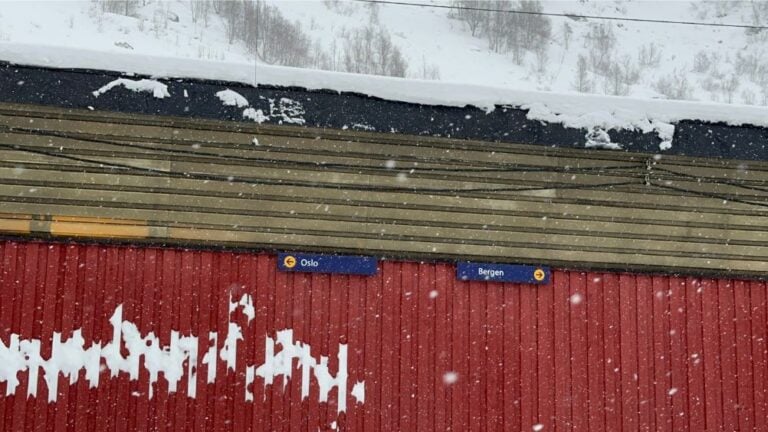 Snowing at Myrdal station. Photo: David Nikel.