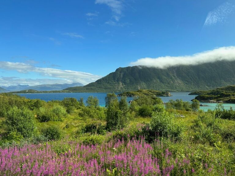 Scenic view of Vesterålen. Photo: David Nikel.