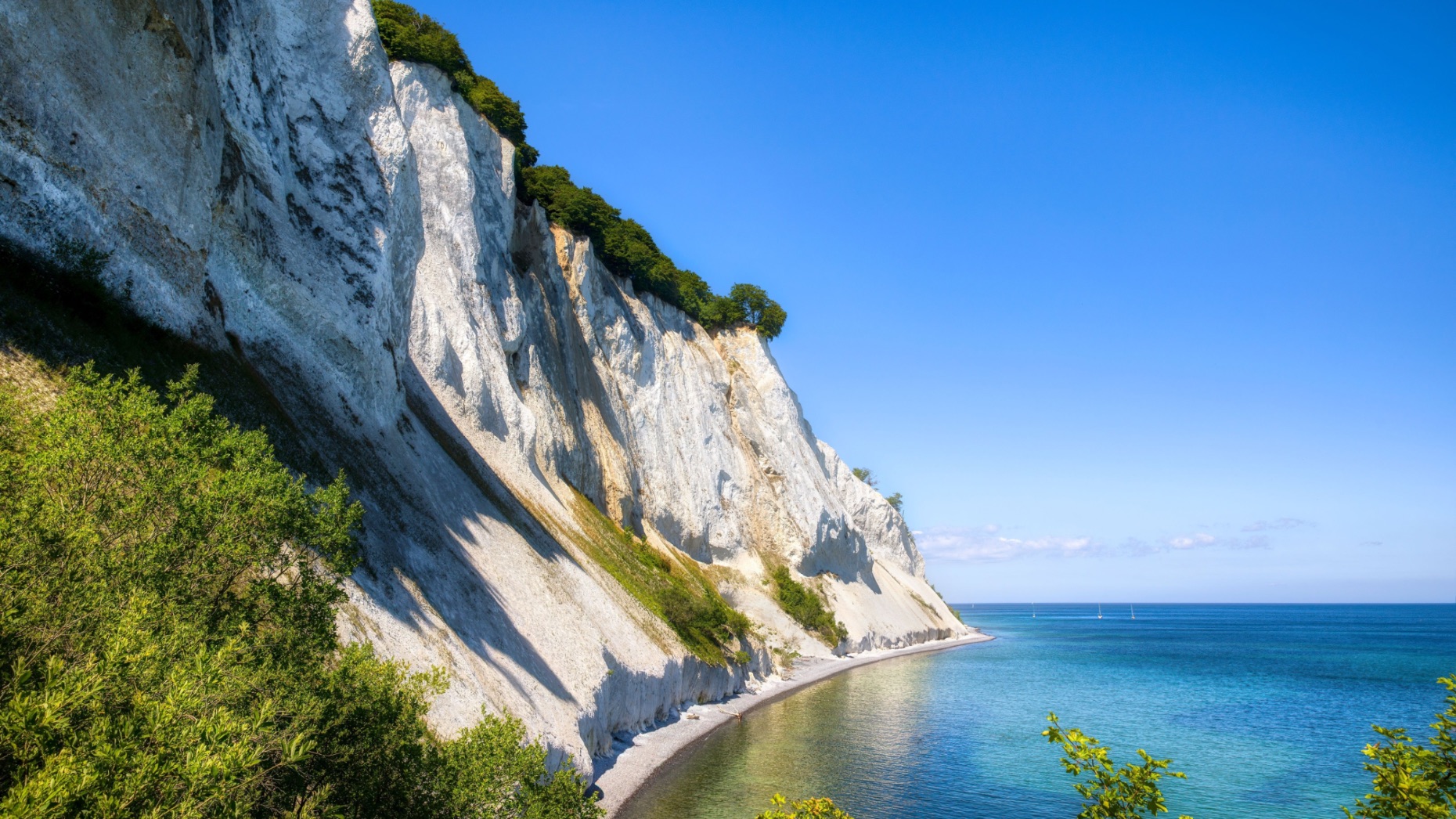 White cliffs of Møns Klint in Denmark.