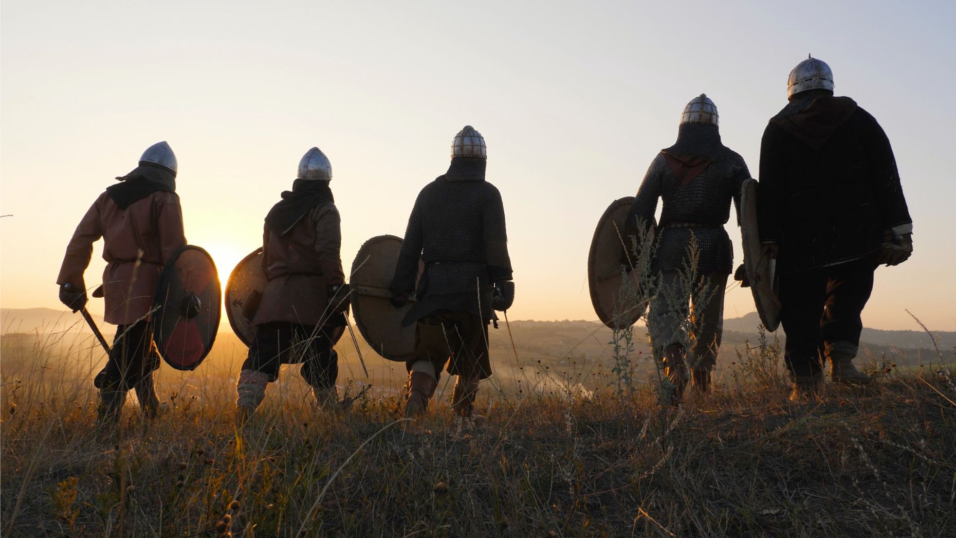 Viking warriors in a field.