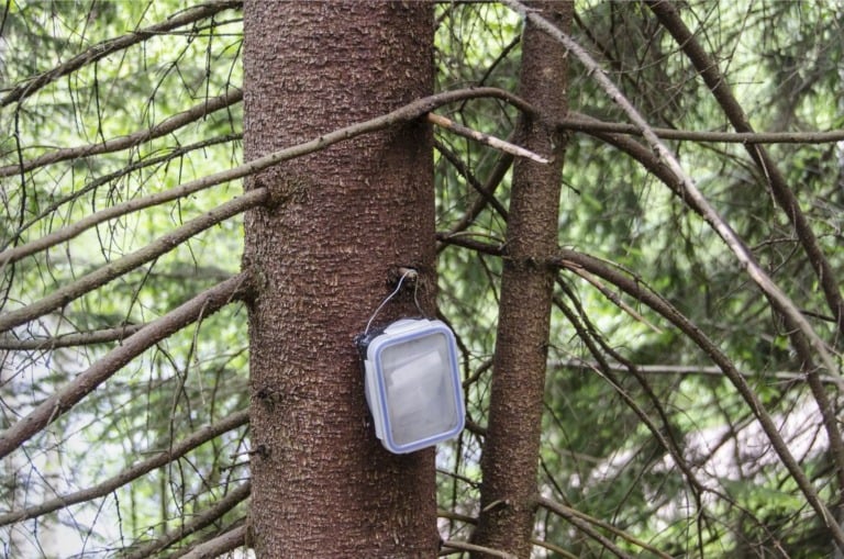 An example cache in Norway.