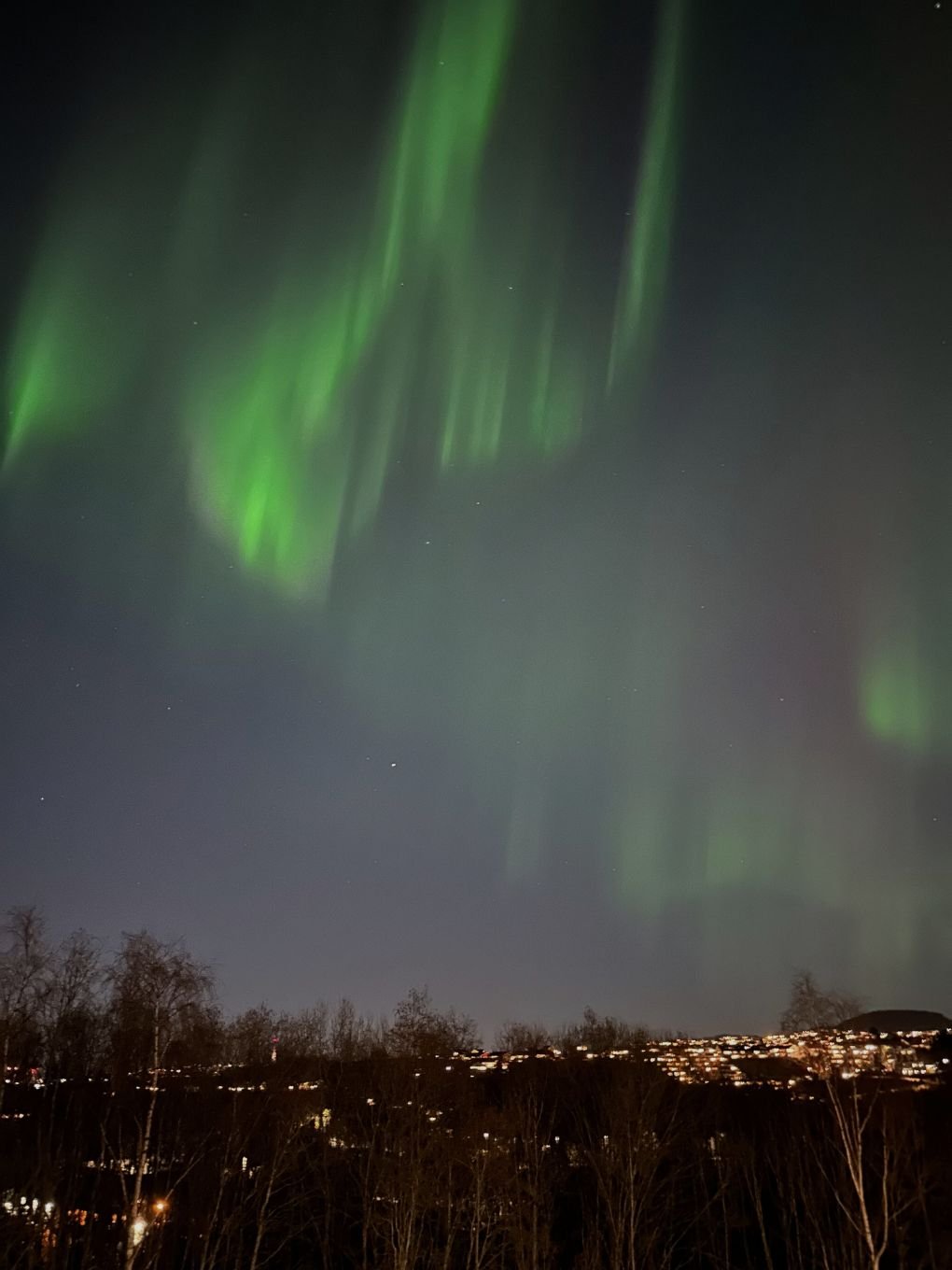 Northern lights in Trondheim in the springtime. Photo: David Nikel.