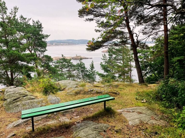 Bench of Odderøya Island in Kristiansand. Photo: David Nikel.