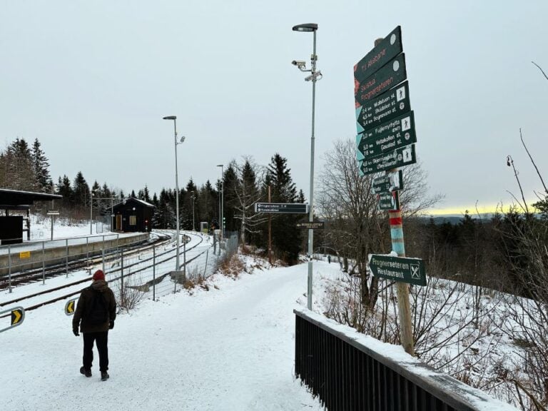 Hiking trails from an Oslo metro station. Photo: David Nikel.