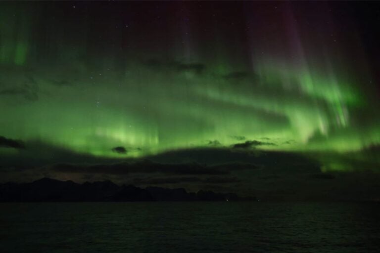Northern lights at sea. Photo: David Nikel.