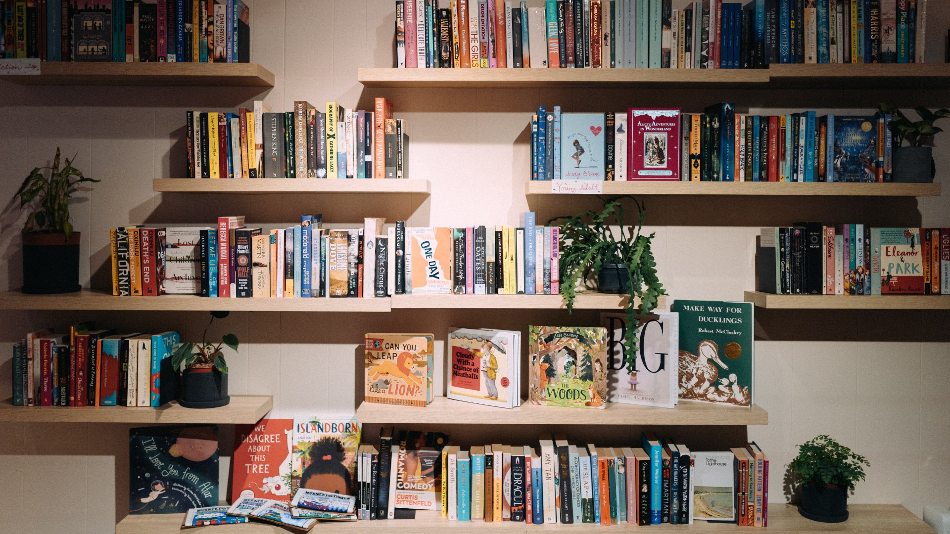 Bookshelves in Prismatic Pages, Oslo. Photo: Angelique Culvin.