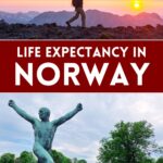 Norway Life Expectancy Pin