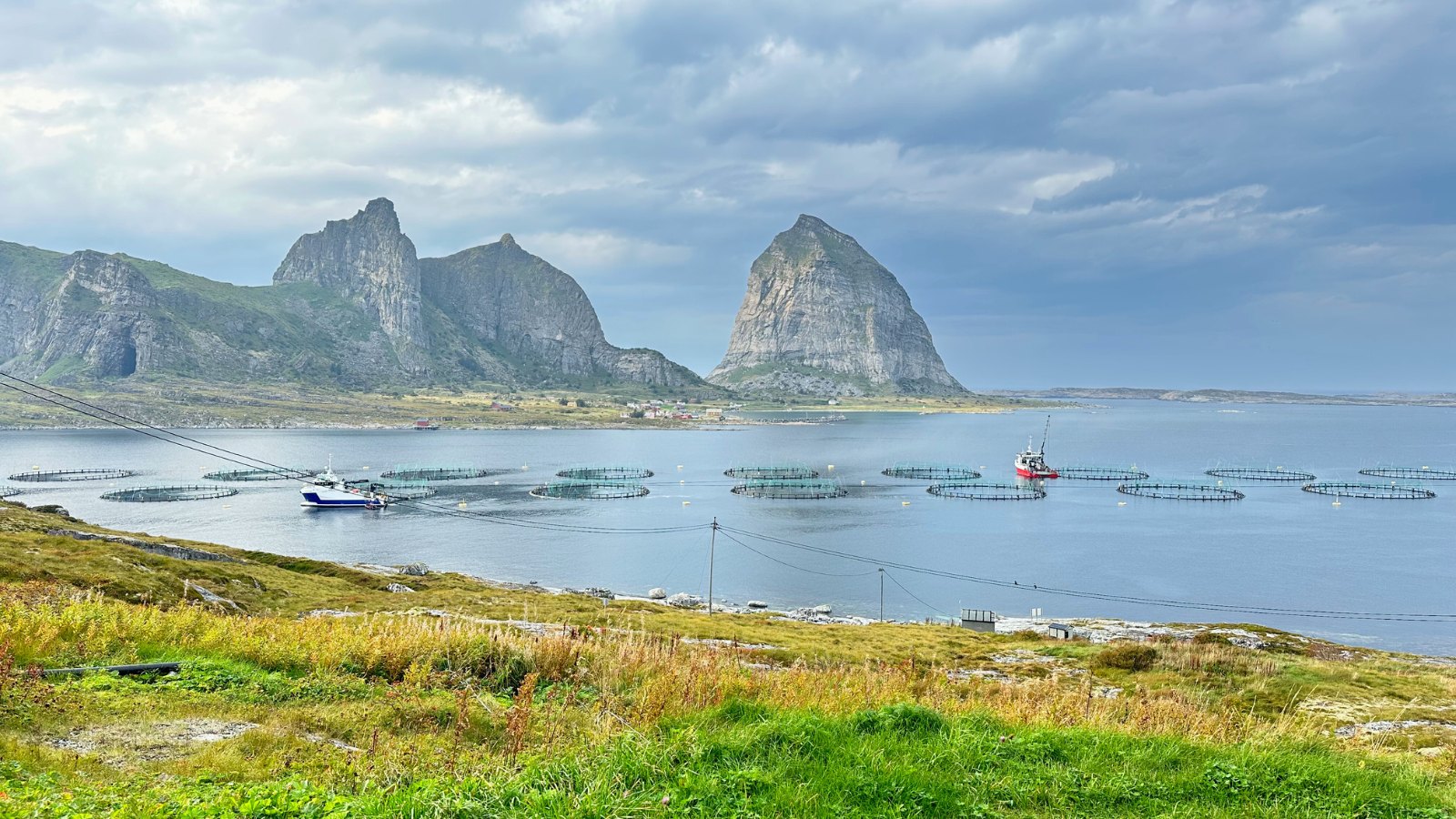 Træna island landscape taken from Husøy island. Photo: David Nikel.