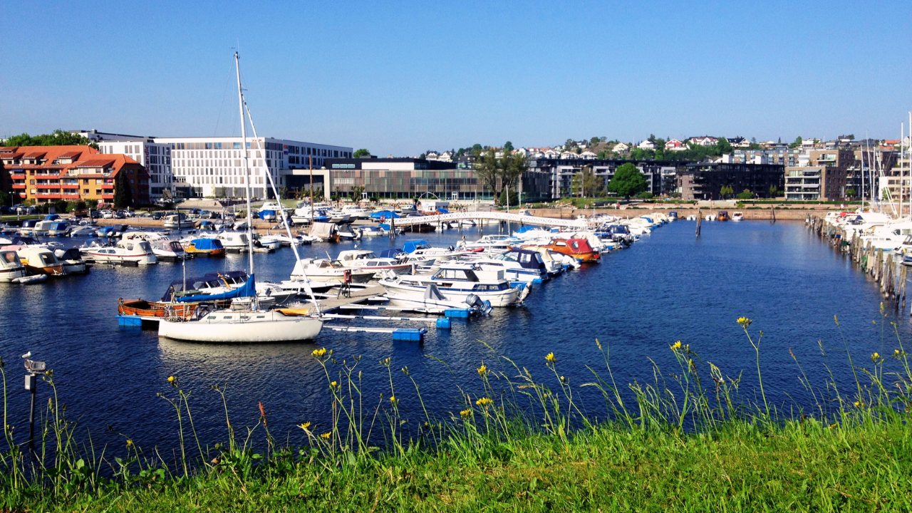 The High Cost of "Free" Play