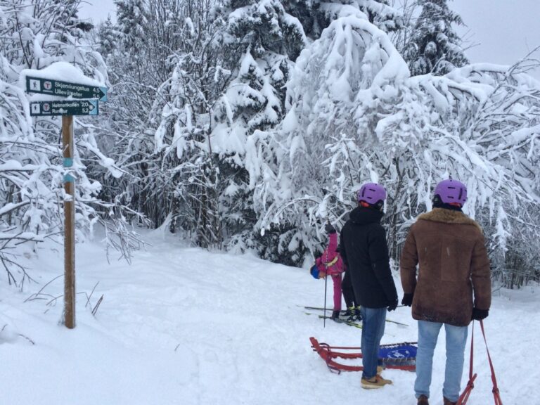 Winter scene near Holmenkollen in Oslo. Photo: David Nikel.