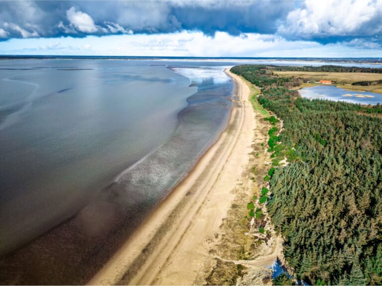 Danish coastline and the Wadden Sea.