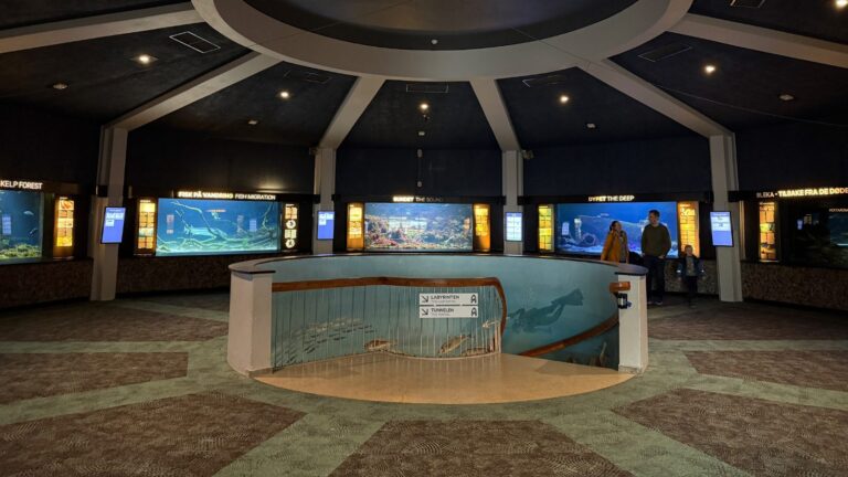 Inside Bergen Aquarium. Photo: David Nikel.