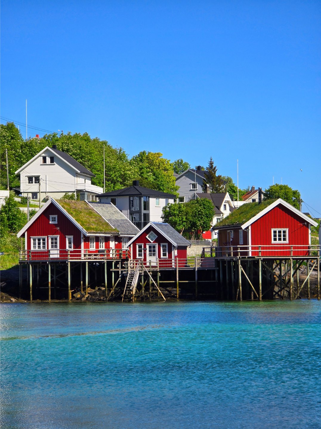 Wooden houses in Reine, Norway.