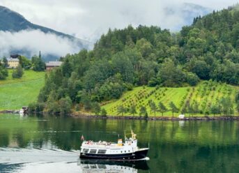 Ulvik: Norway’s Orchard Village On The Hardangerfjord