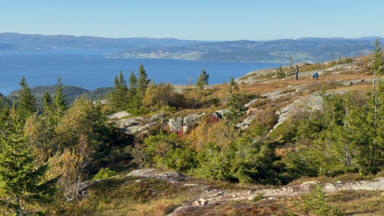 Hiking in Bymarka in early Autumn. Photo: David Nikel.