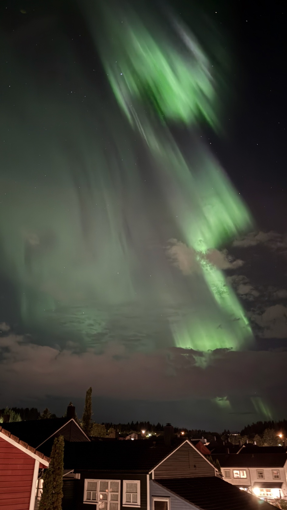 Curtains of green aurora above Trondheim. Photo: David Nikel.