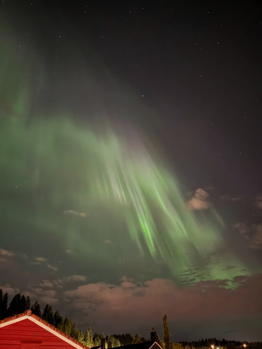 Northern lights above my house in Trondheim. Photo: David Nikel.
