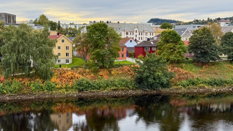Riverside houses admit autumn foliage in Trondheim, Norway. Photo: David Nikel.