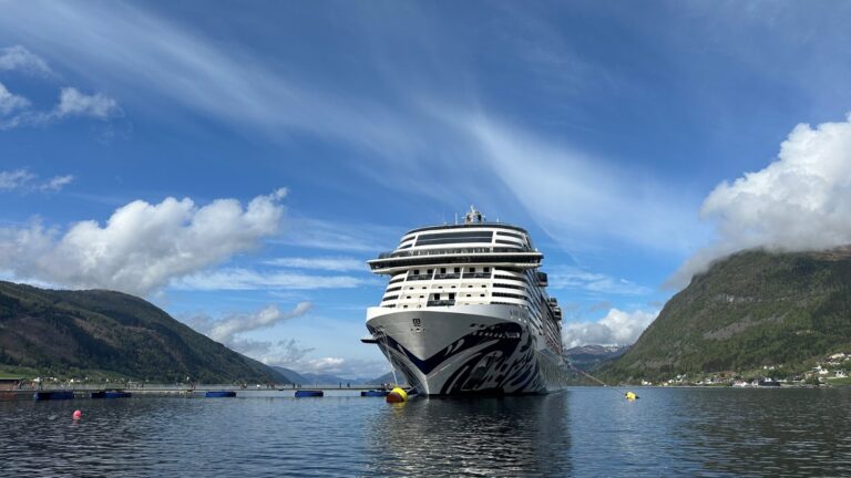 'MSC Euribia' cruise ship docked in Nordfjordeid, Norway. Photo: David Nikel.