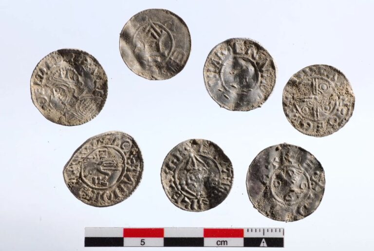 Viking Age silver coins with scale in the Museum of Cultural History in Oslo, Norway. Photo: Florent Audy / Museum of Cultural History.