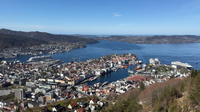 View of Bergen from Fløyen with three cruise ships in dock. Photo: David Nikel.