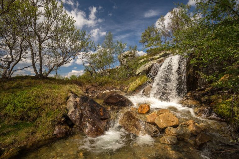 Elgåhogna hiking trail in Femundsmarka National Park.