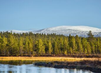 Femundsmarka National Park: Norway’s Great Canoe Wilderness