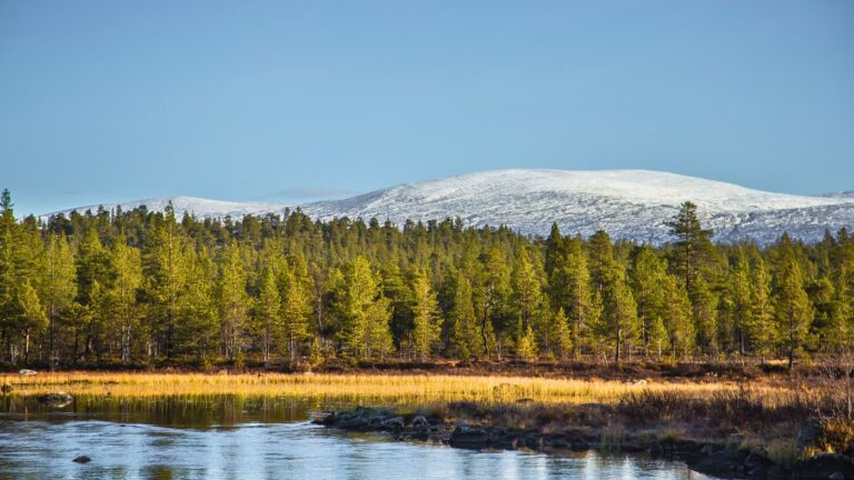 Lake, forest and mountain views in Norway's Femundsmarka National Park.