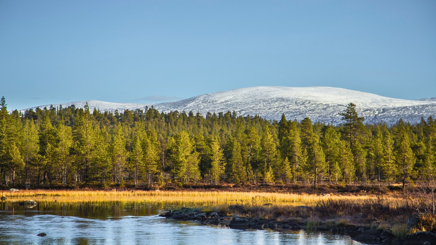 Lake, forest and mountain views in Norway's Femundsmarka National Park.