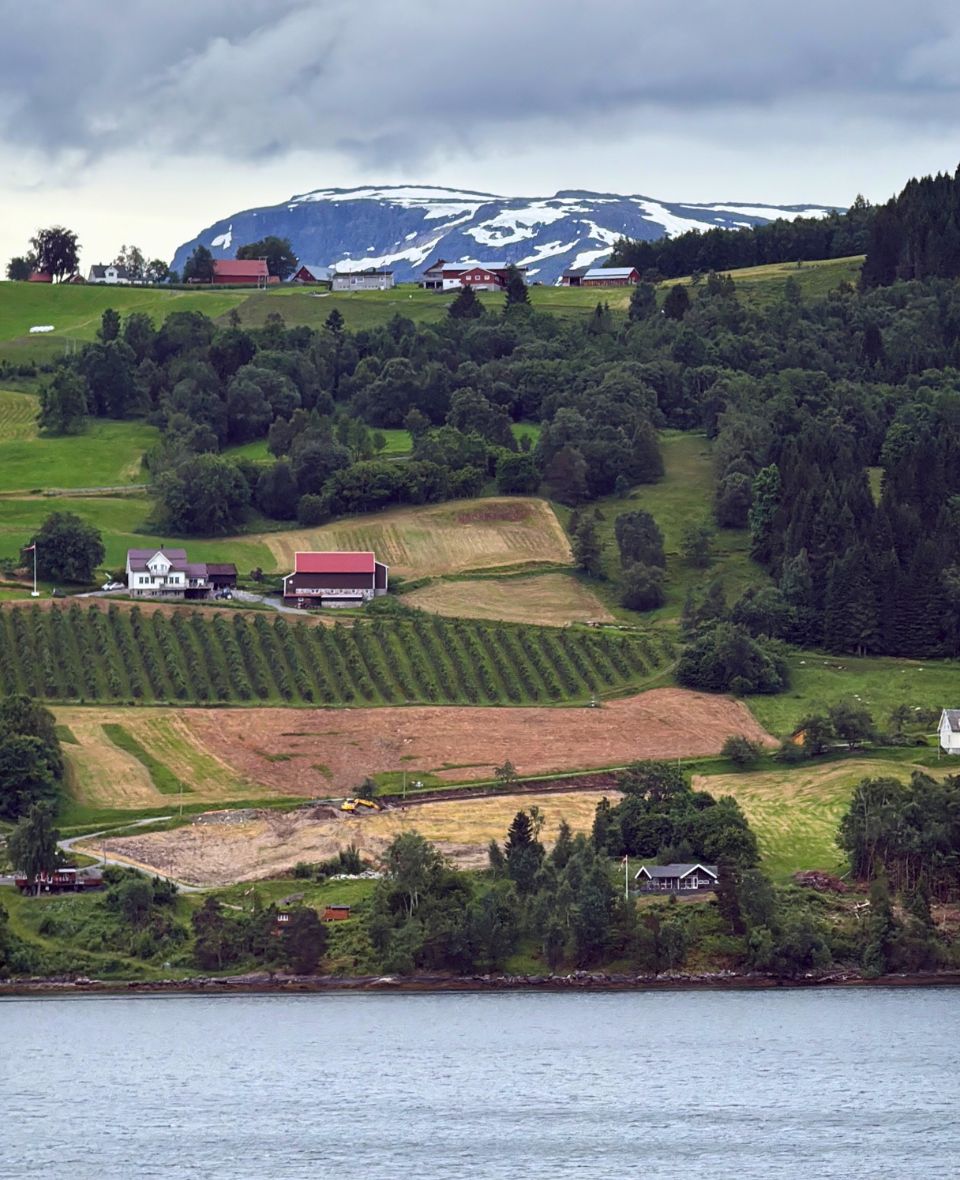 Sailing past fjordside houses in Norway. Photo: David Nikel.
