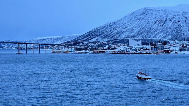 A winter scene in Tromsø. Photo: David Nikel.